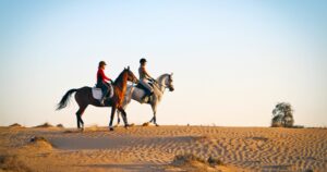 DUBAI HORSE RIDE